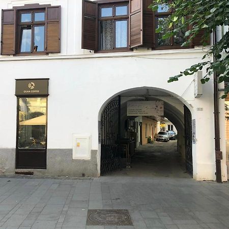 Gizell Apartment 1 Сибиу Екстериор снимка