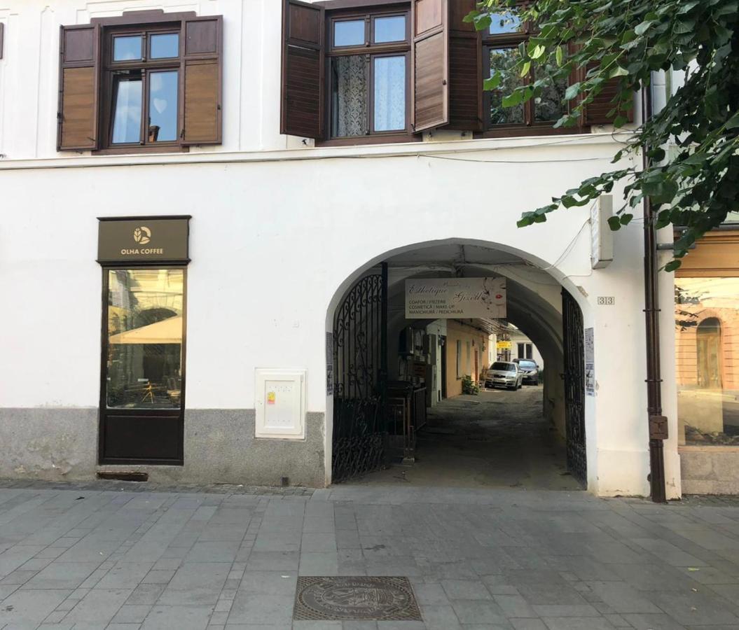 Gizell Apartment 1 Сибиу Екстериор снимка